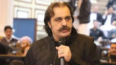 No One Can Impose Any Ban on PTI: Ali Amin Gandapur