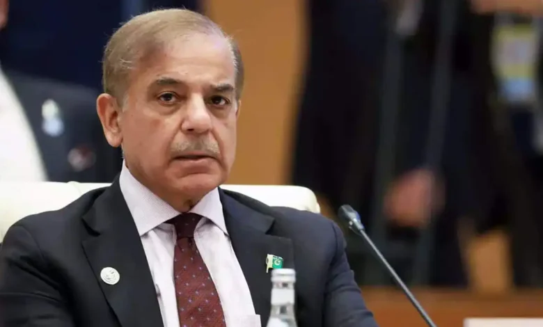 Nobody Will Be Allowed To Sabotage Pakistan's Economic Gains: Shehbaz Sharif