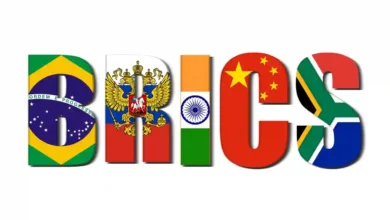 BRICS and Pakistan