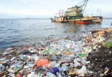 Salvaging Environment Microplastics Pollution