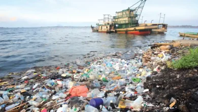 Salvaging Environment Microplastics Pollution